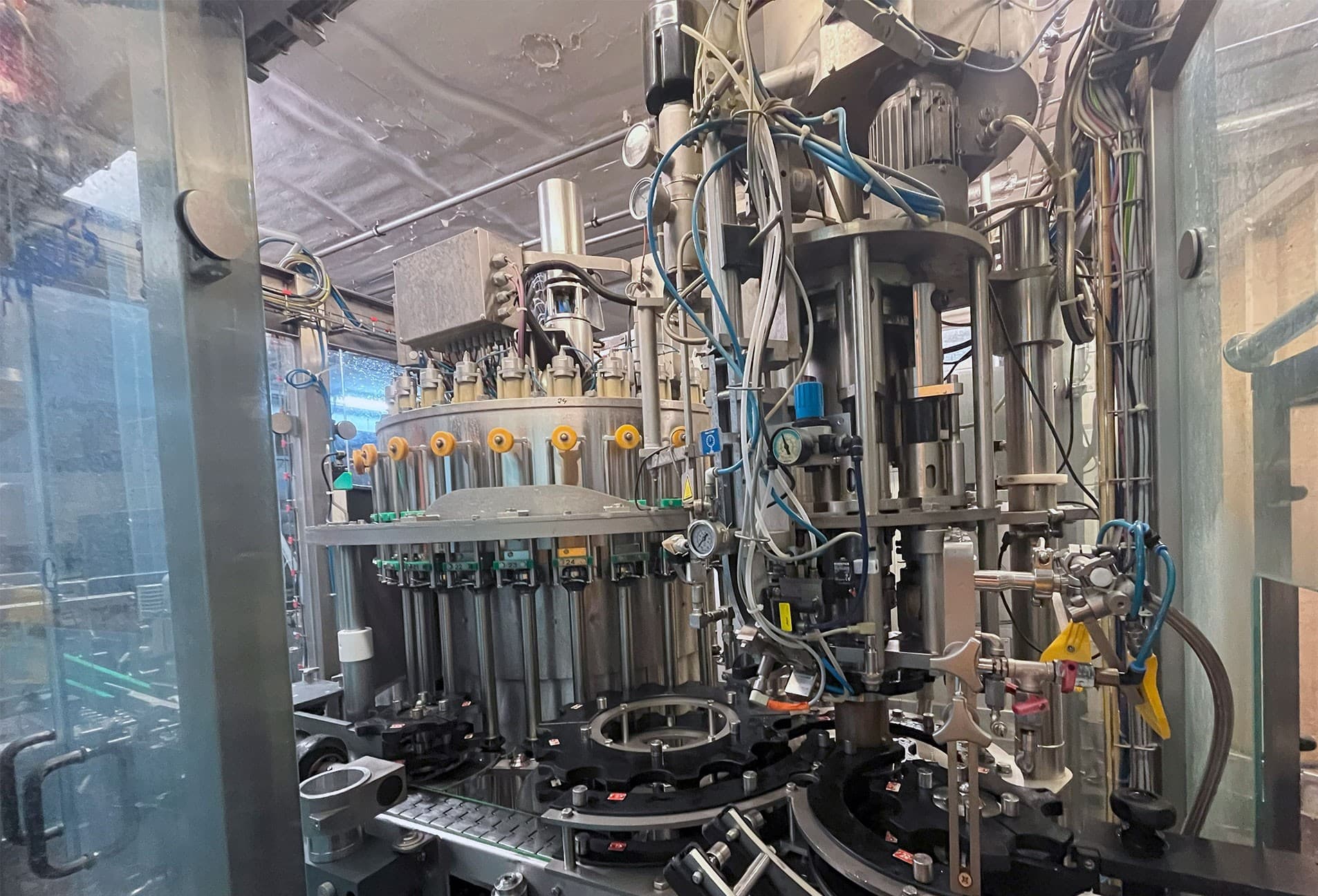 Image of the product